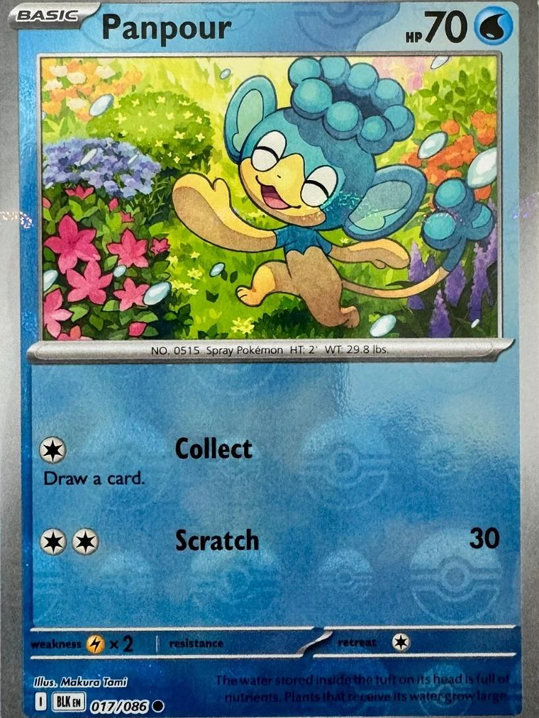Panpour (Poke Ball Pattern) #017 1