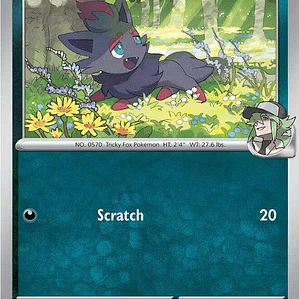 N's Zorua #136