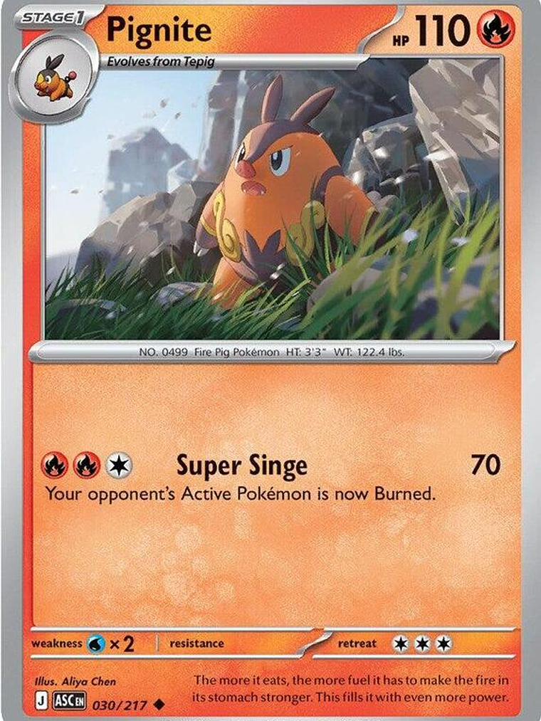 Pignite #030 1