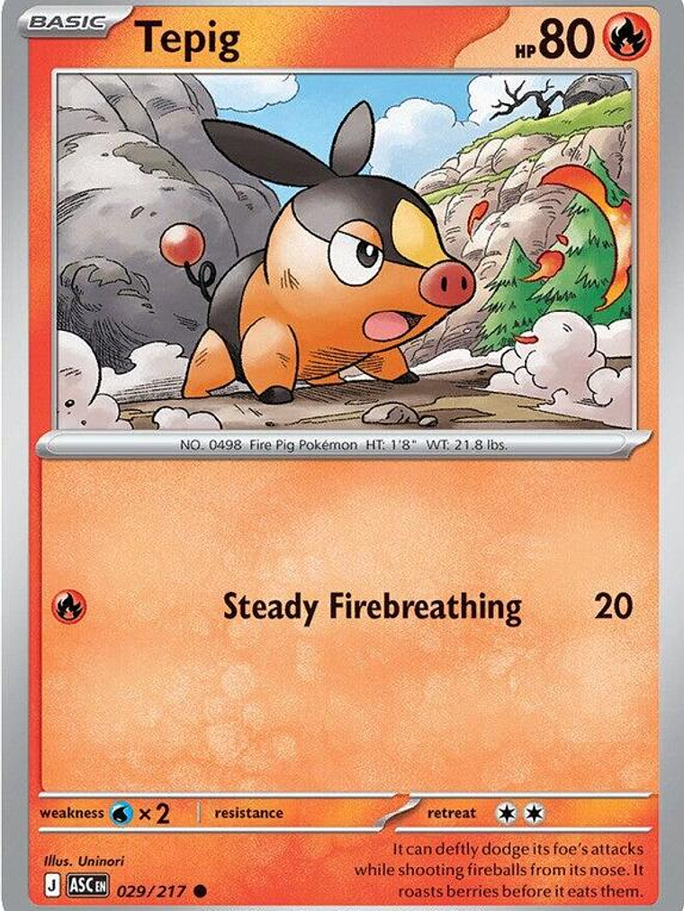 Tepig #029 1