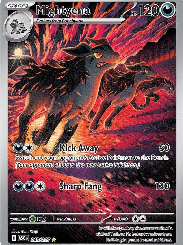 Mightyena #243 1