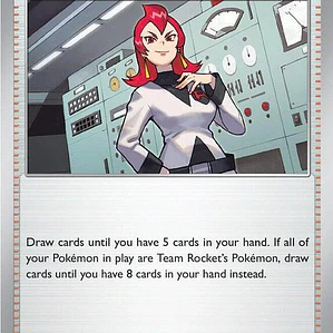 Team Rocket's Ariana #202