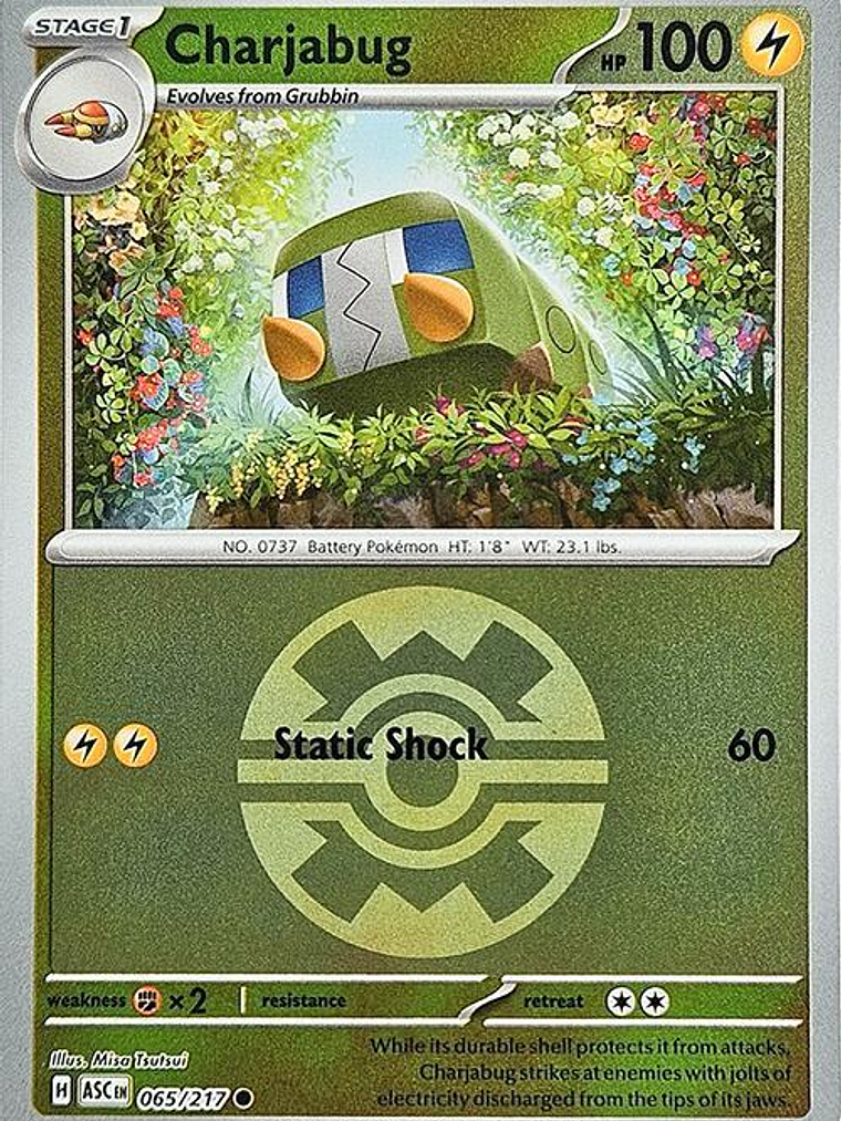 Charjabug #065 1