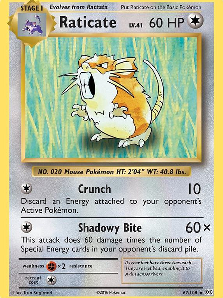 Raticate #67 1