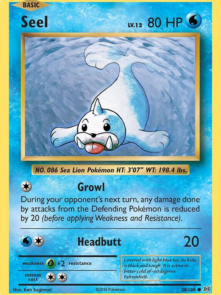 Seel #28 1
