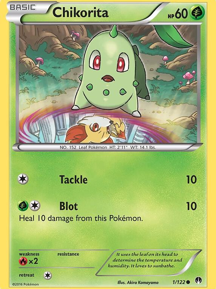 Chikorita #1 1