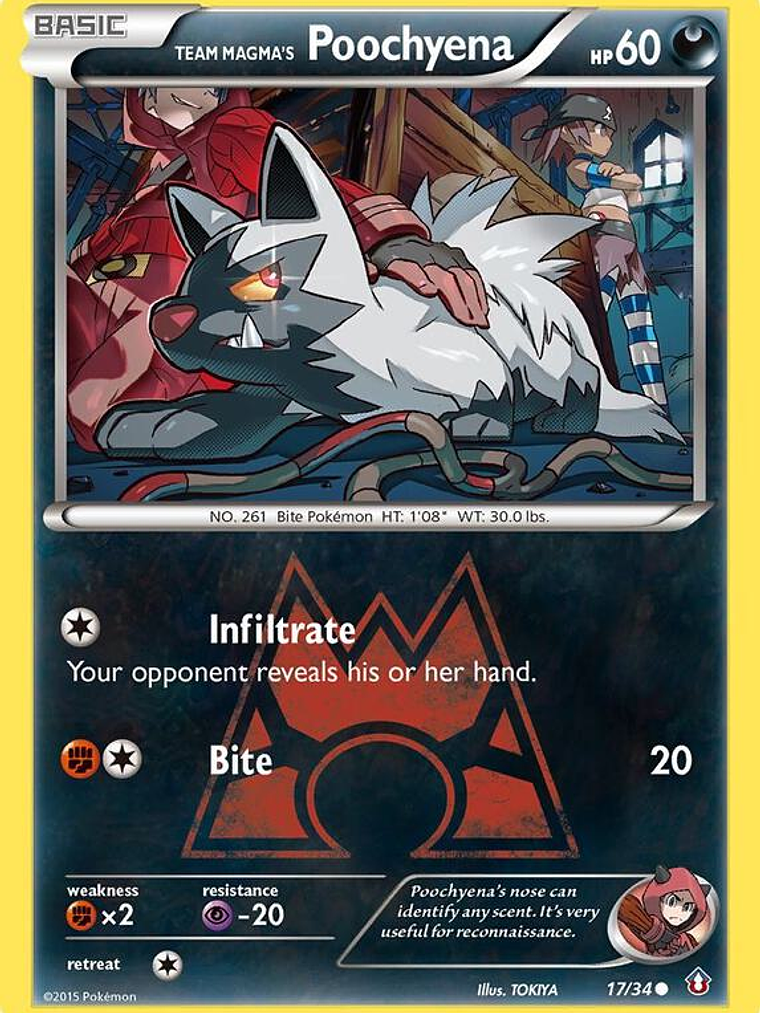 Team Magma's Poochyena #17 1