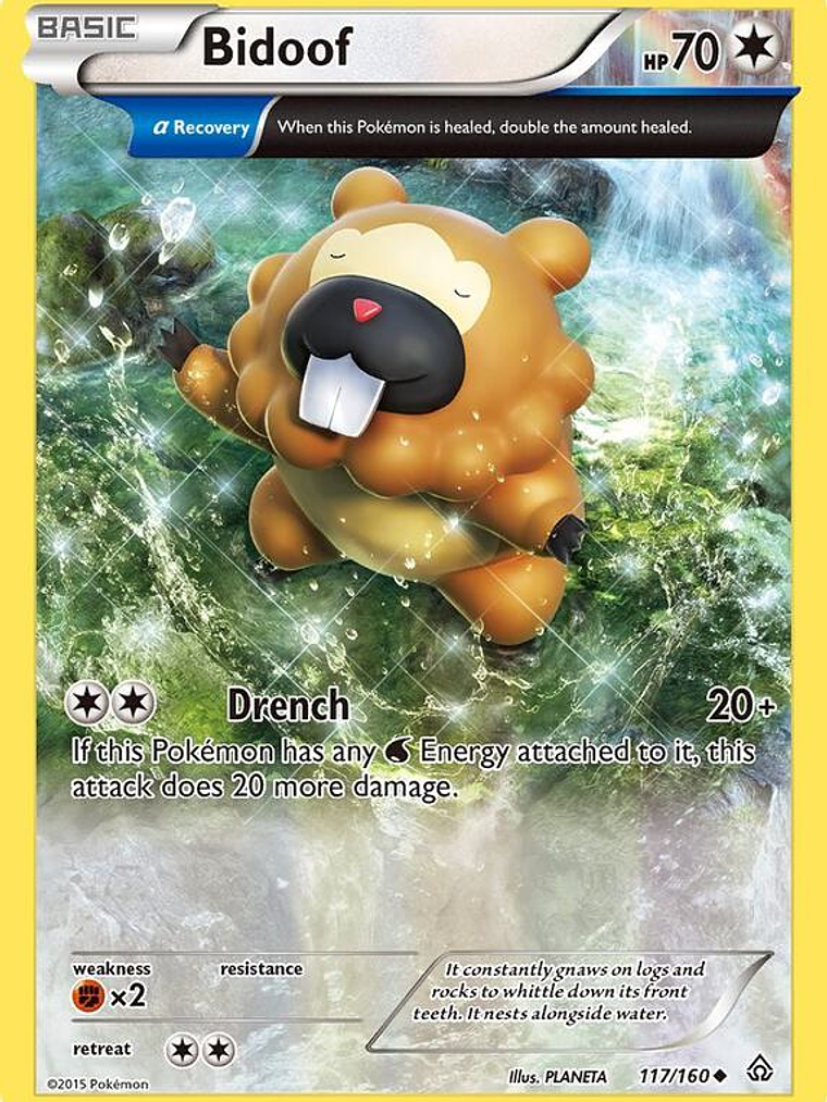 Bidoof #117 1