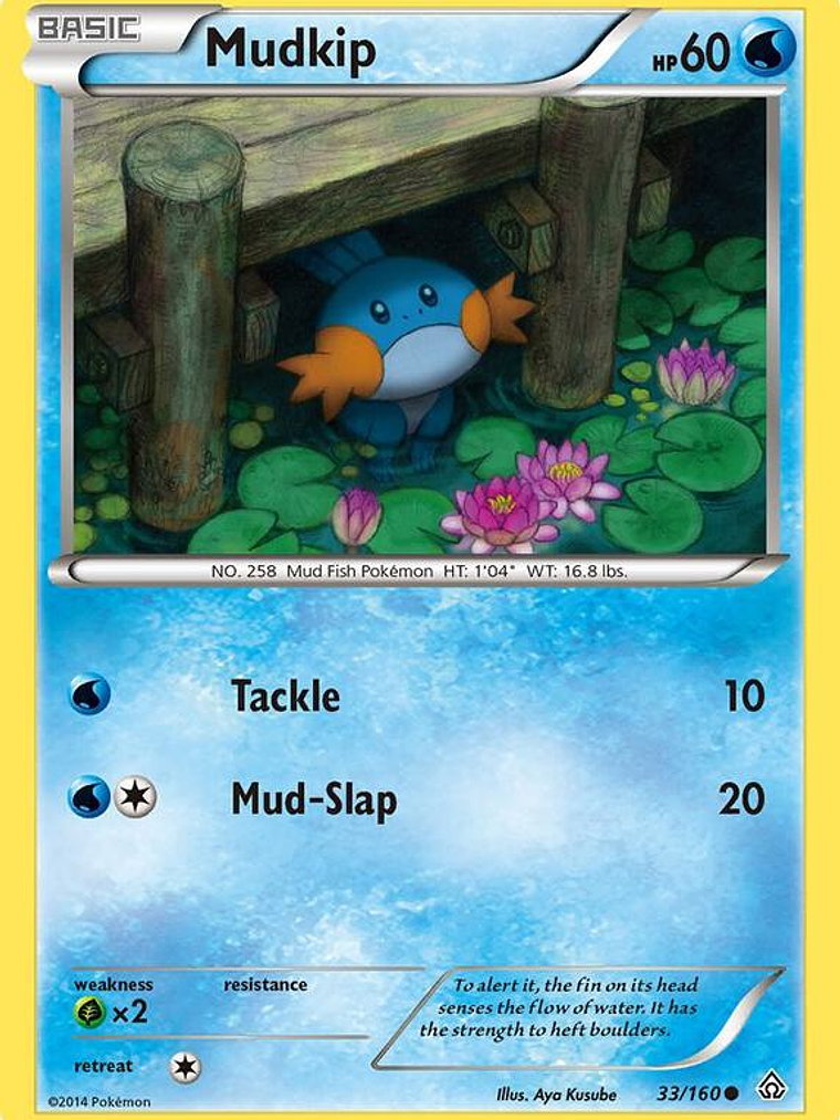 Mudkip #33 1