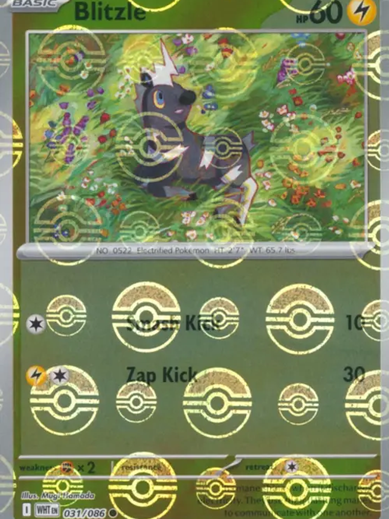Blitzle (Poke Ball Pattern) #031 1