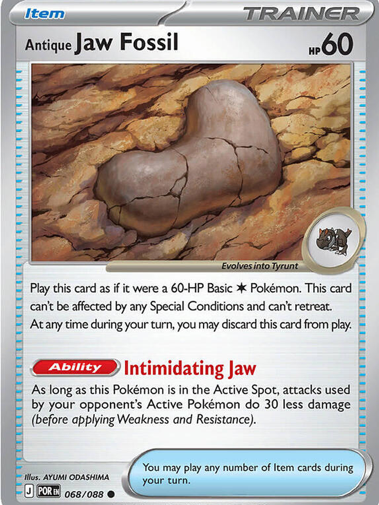 Antique Jaw Fossil #068 1