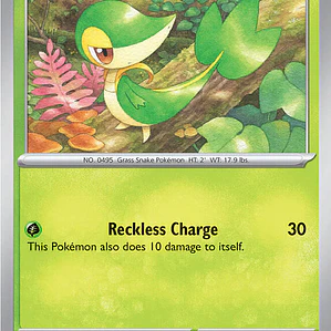 Snivy #004