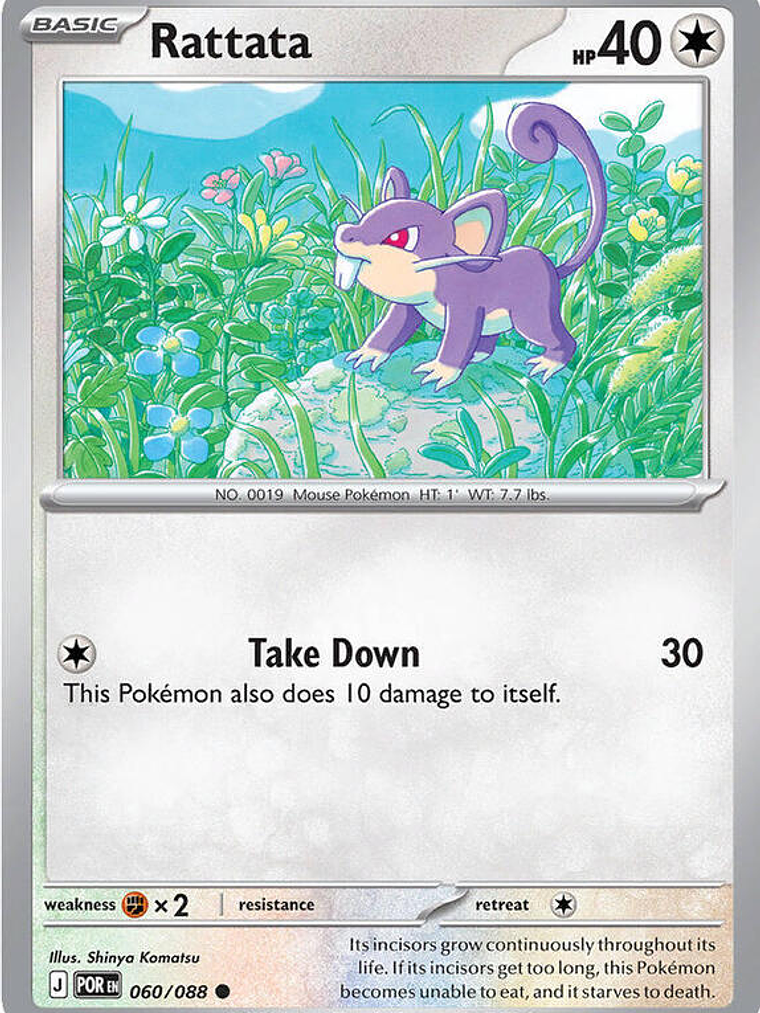 Rattata #060 1