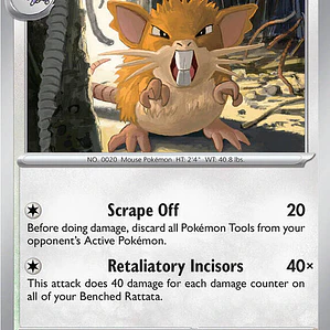 Raticate #061
