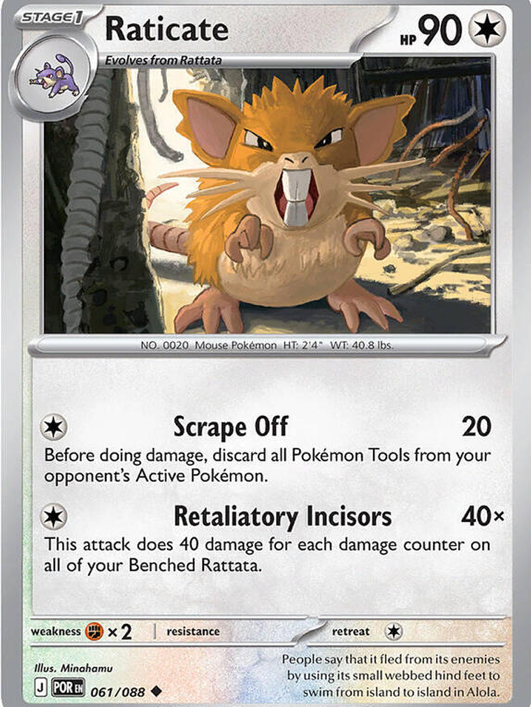 Raticate #061 1