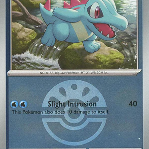 Totodile (Friend Ball) #041