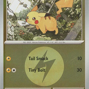 Pikachu (Energy Symbol Pattern) #055