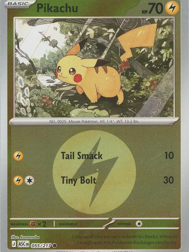 Pikachu (Energy Symbol Pattern) #055 1