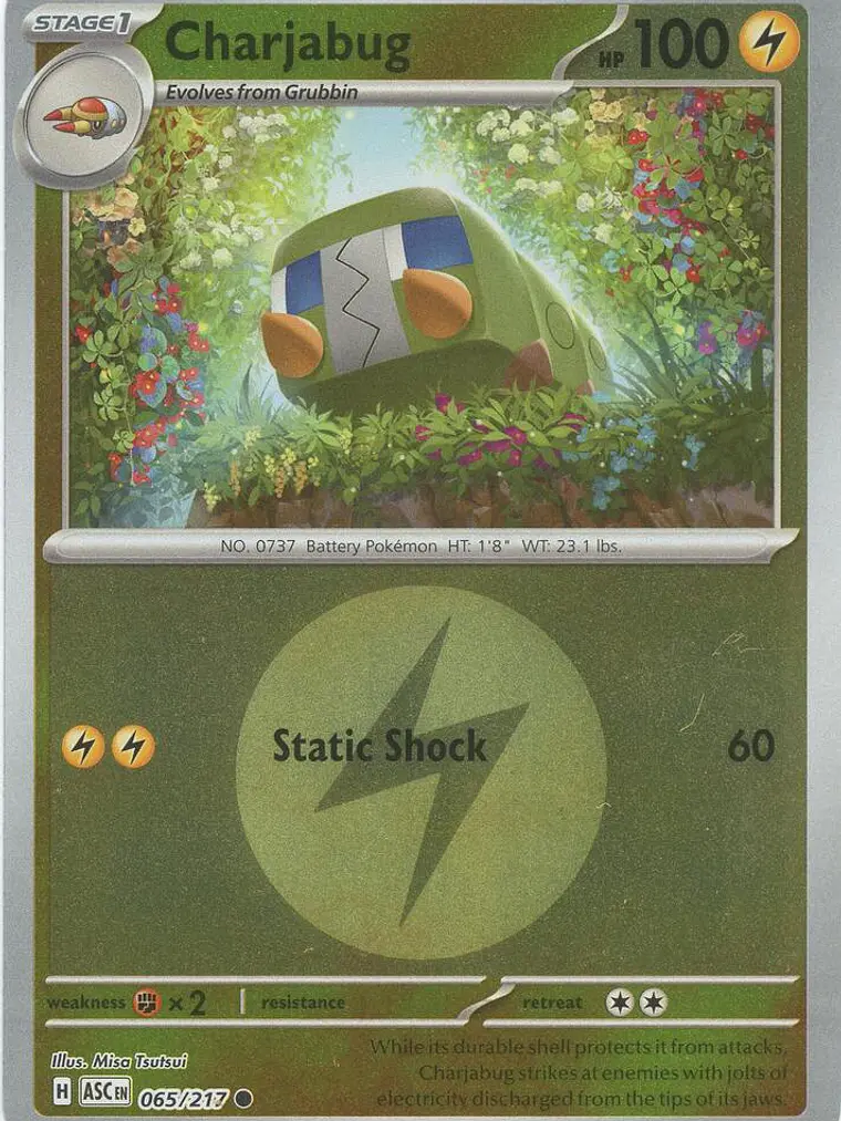 Charjabug (Energy Symbol Pattern) #065 1