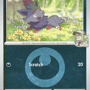 N's Zorua (Energy Symbol Pattern) #136