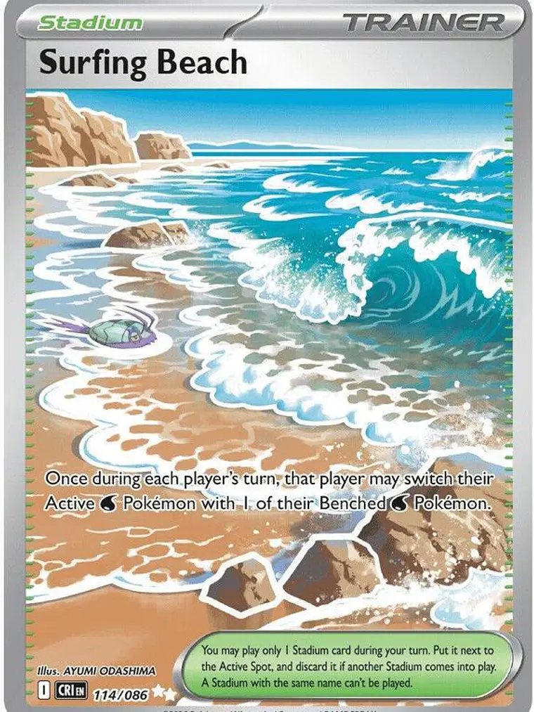 Surfing Beach #114 1