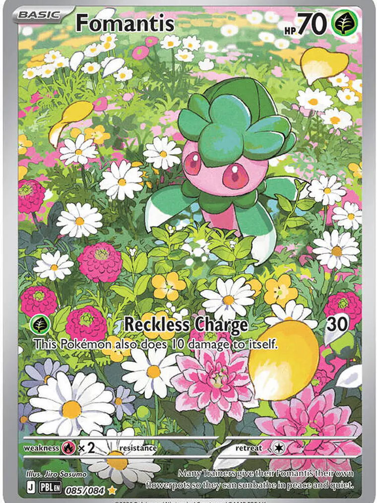 Fomantis #085 1