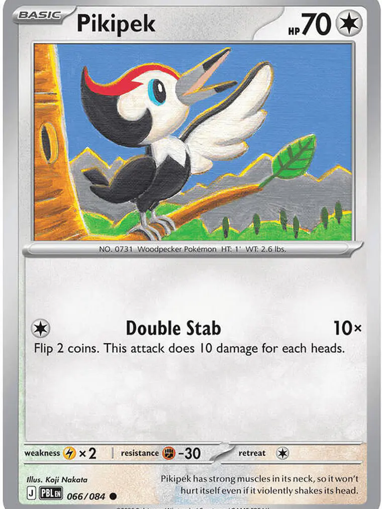 Pikipek #066 1