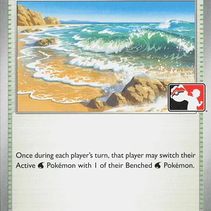 Surfing Beach #129