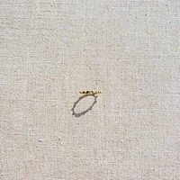Anillo Denario Pelotitas — vista 3
