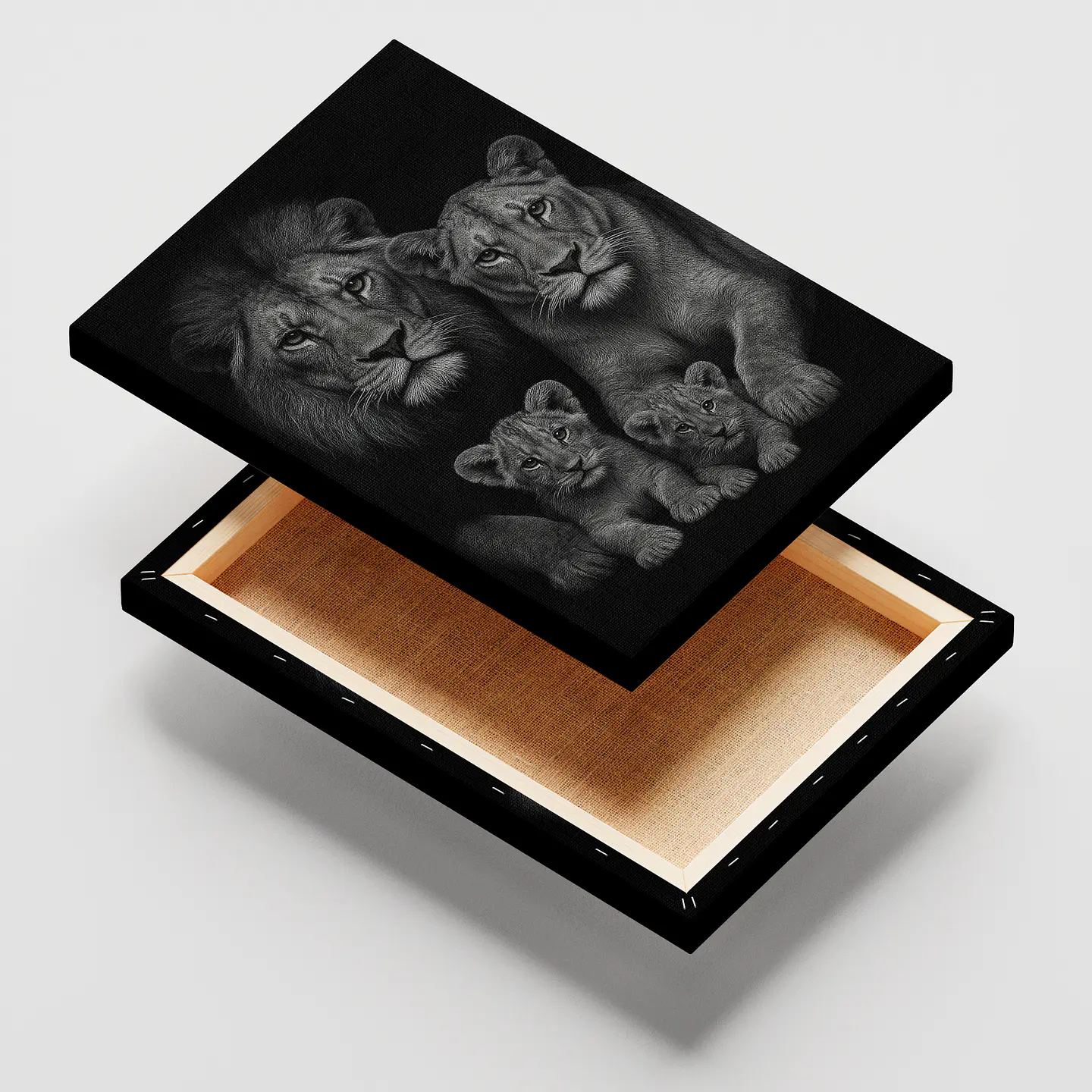 LEONES #FL-02 2