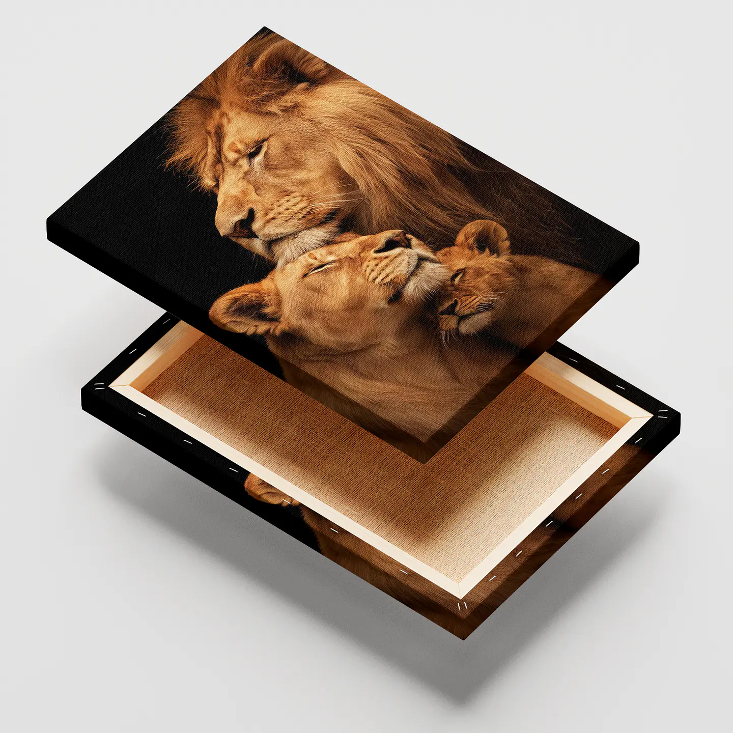 LEONES #FL-03 2