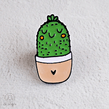 Pin Cactus modelo 4 regalos plantas