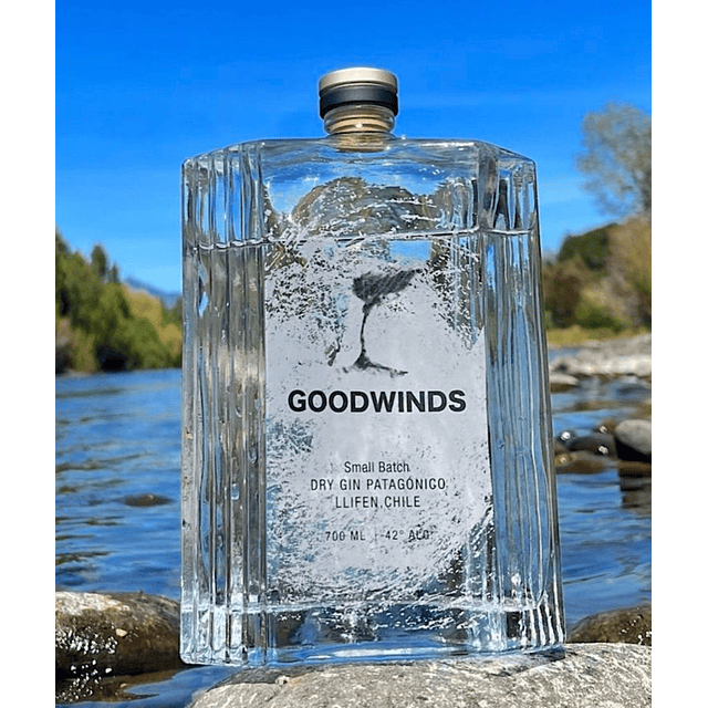 Gin Goodwinds