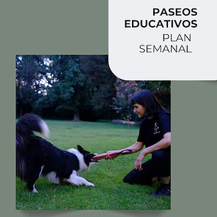 Paseos educativos semanales
