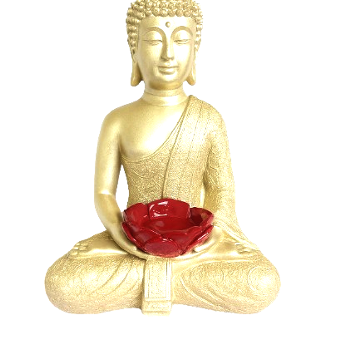 FLOR DE LOTO CHAMPAÑA 2