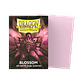 Fundas Dragon Shield - Blossom - Miniatura 1