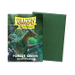 Matte Forest Green (x100) Dragon Shield - Miniatura 1