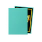 Matte Mint (x100) Dragon Shield - Miniatura 2