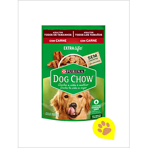 Dog Chow Sachet Carne