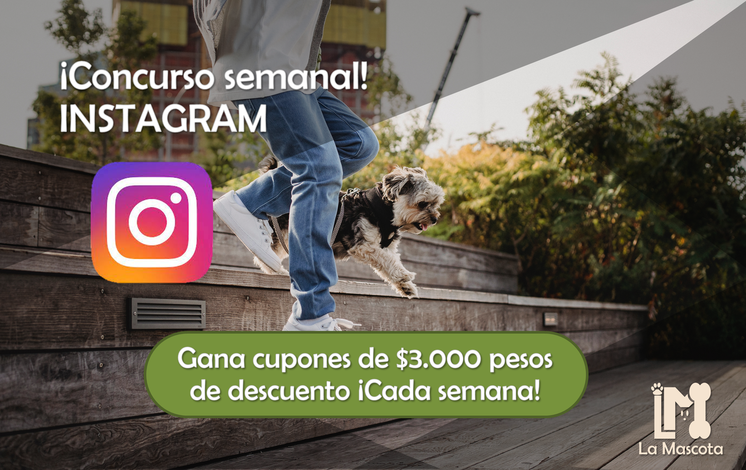 Concurso Semanal Instagram