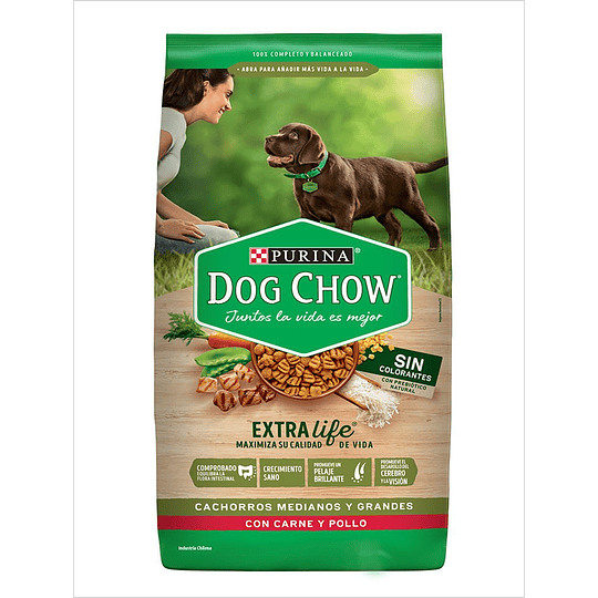 Dog Chow Cachorro 24 Kg