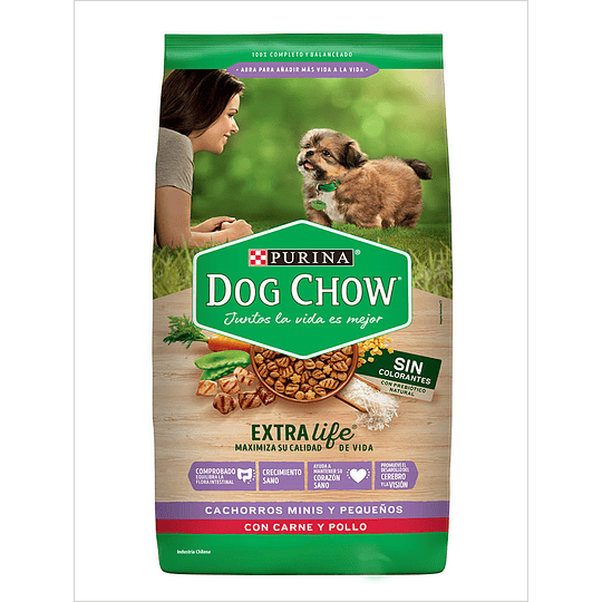 Dog Chow Cachorro Raza Pequeña 24 Kg