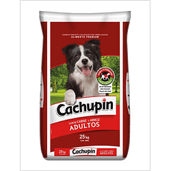 Cachupin Adulto 25 Kg