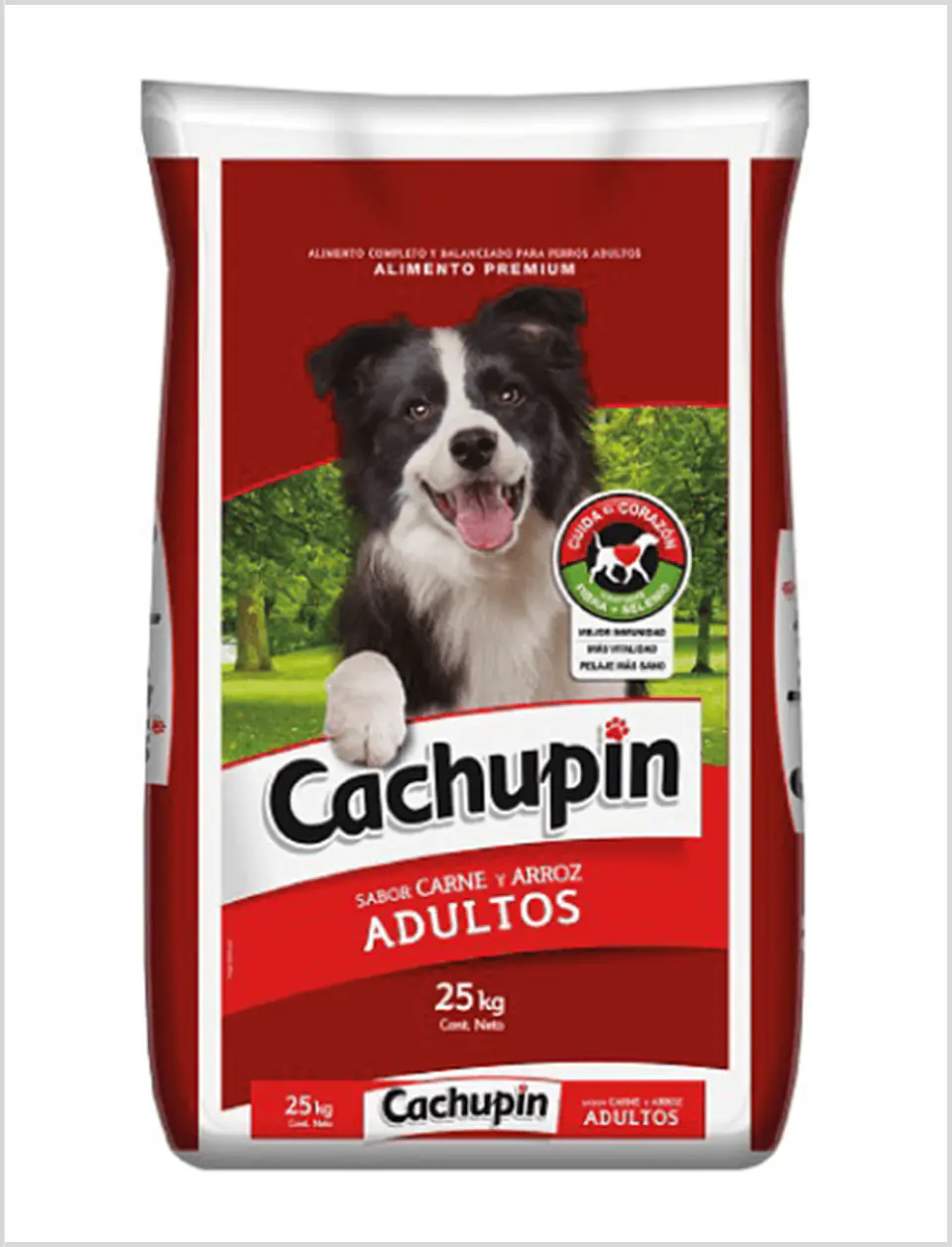 Cachupin Adulto 1