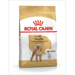 Royal Canin Poodle Adulto