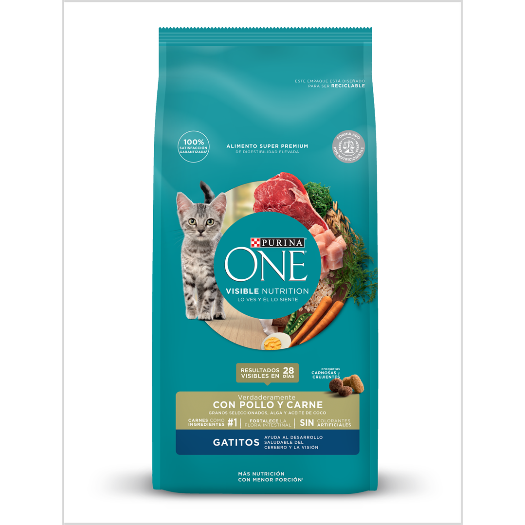 Purina One Gatito 6 Kg 1
