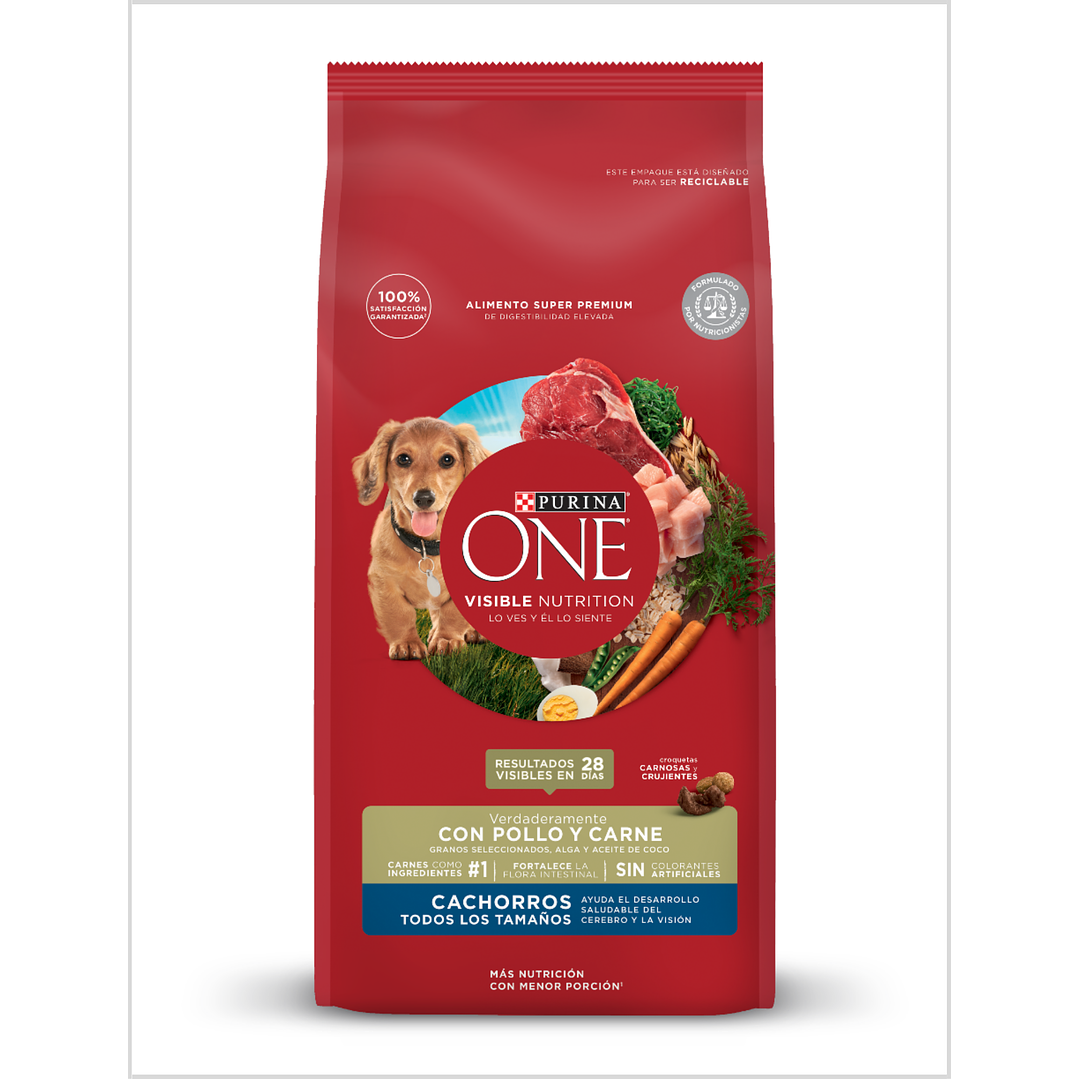Purina One Cachorro 12 Kg 1