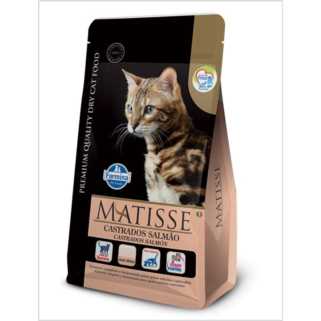 Matisse Castrado Salmon 1