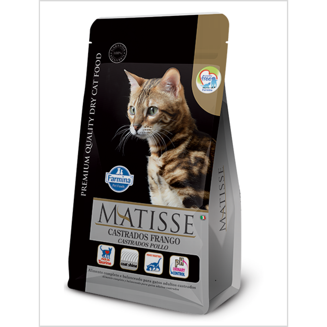 Matisse Castrado Pollo 1