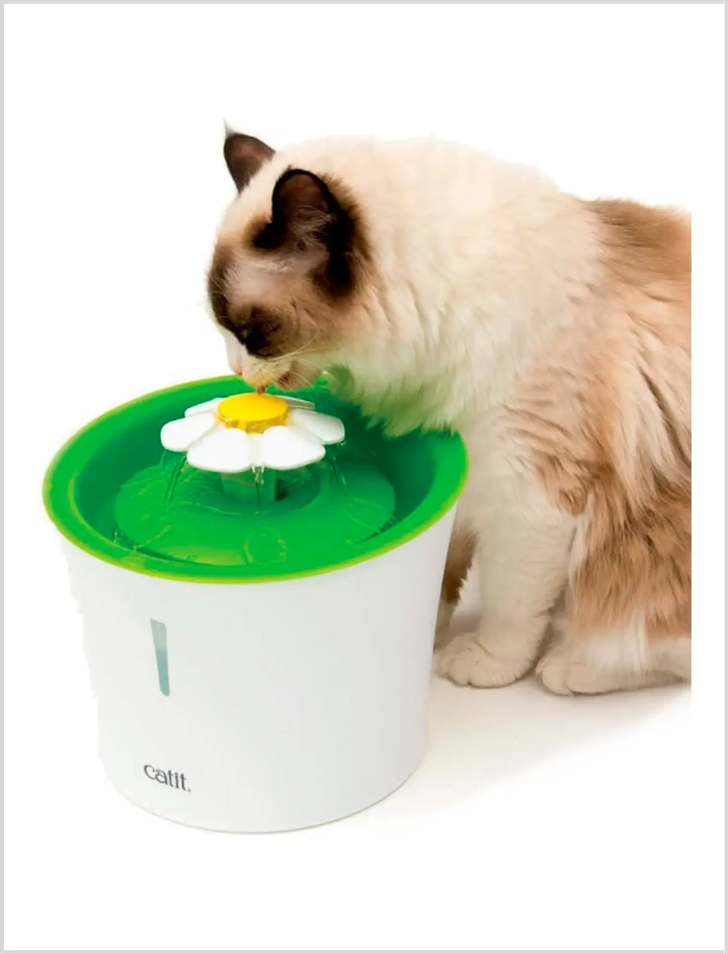 Catit Fuente Flower Fountain 3L 2